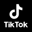 tiktok logo link to generix tiktok